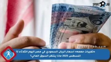«تغيرات مهمة» أسعار الريال السعودي في مصر اليوم الثلاثاء 12 أغسطس 2025 ماذا ينتظر السوق المالي؟
